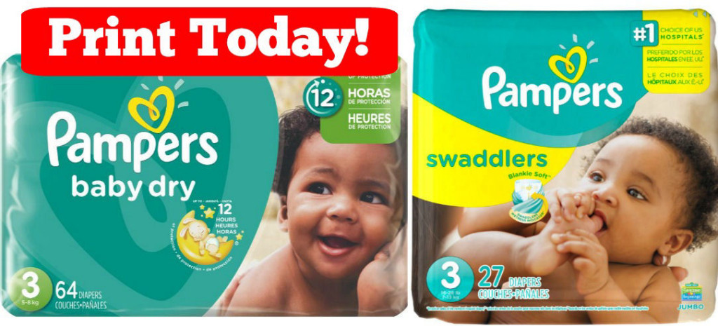 pampers premium care 3 feedo