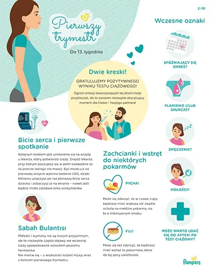 pampers pieluszki premium care rozmiar 4 ceneo