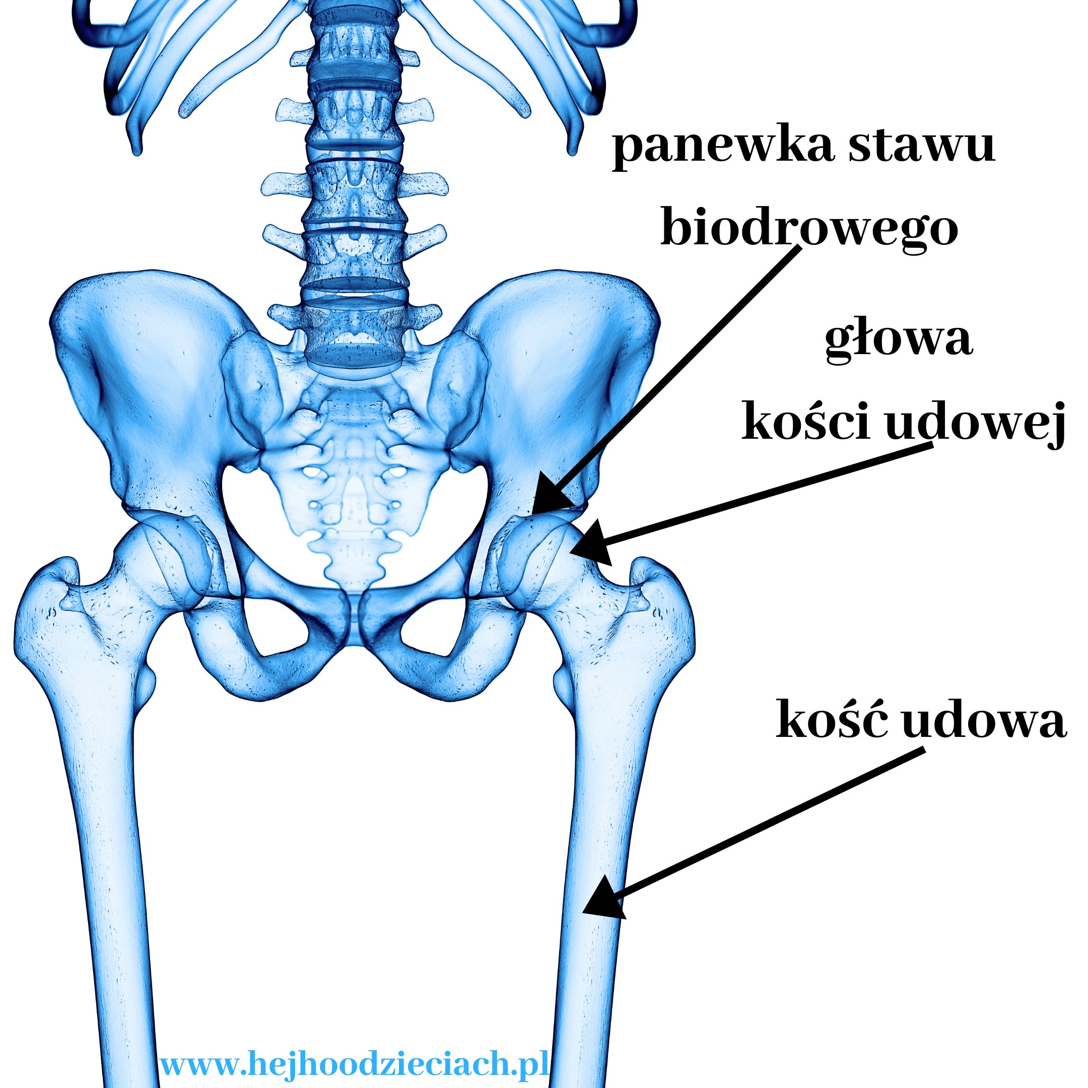 znaczny niepełnosprawności kod pieluchomajtki