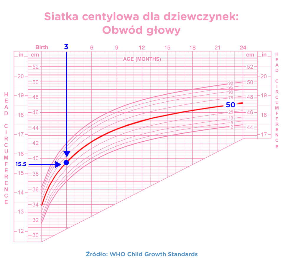 pieluszki huggies gdzie kupić