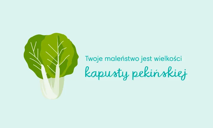 Lassig 1803 Pieluszki do pływania dla dzieci