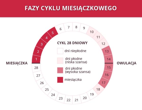 gdzie wyrzucać ekologiczne pieluchy jednorazowe