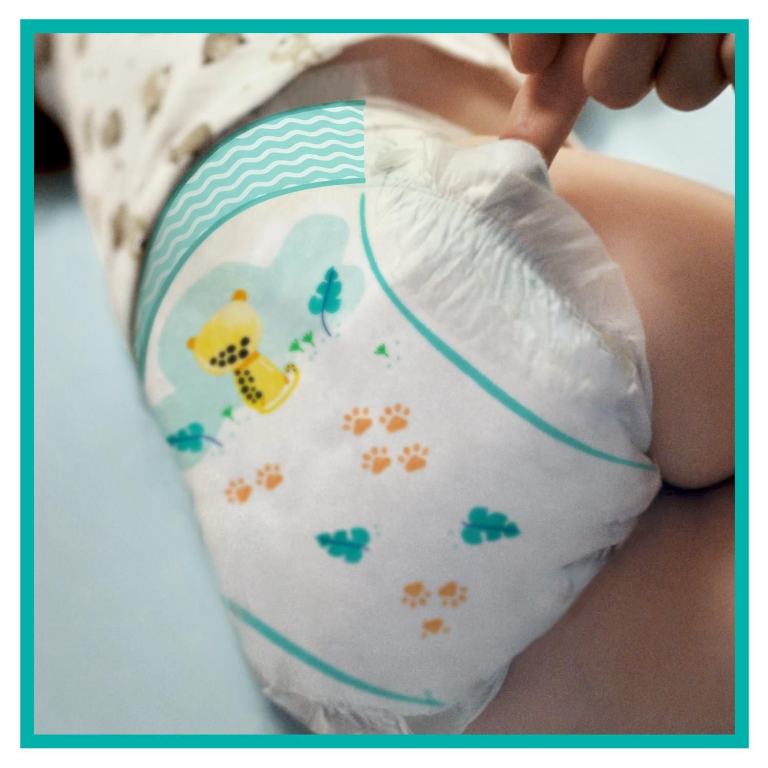 pampers pants darmowe probki