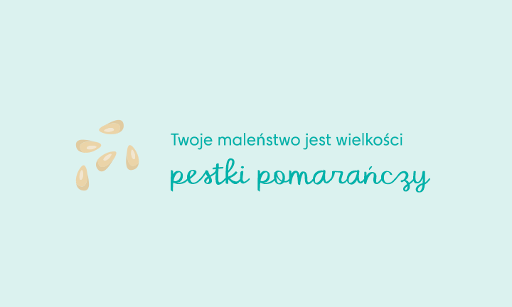 pieluchy wielorazowe sio wikipedia