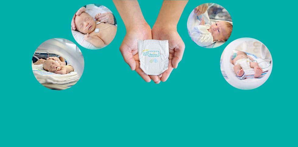 pampers procare 1 pieluchy 2 5 kg