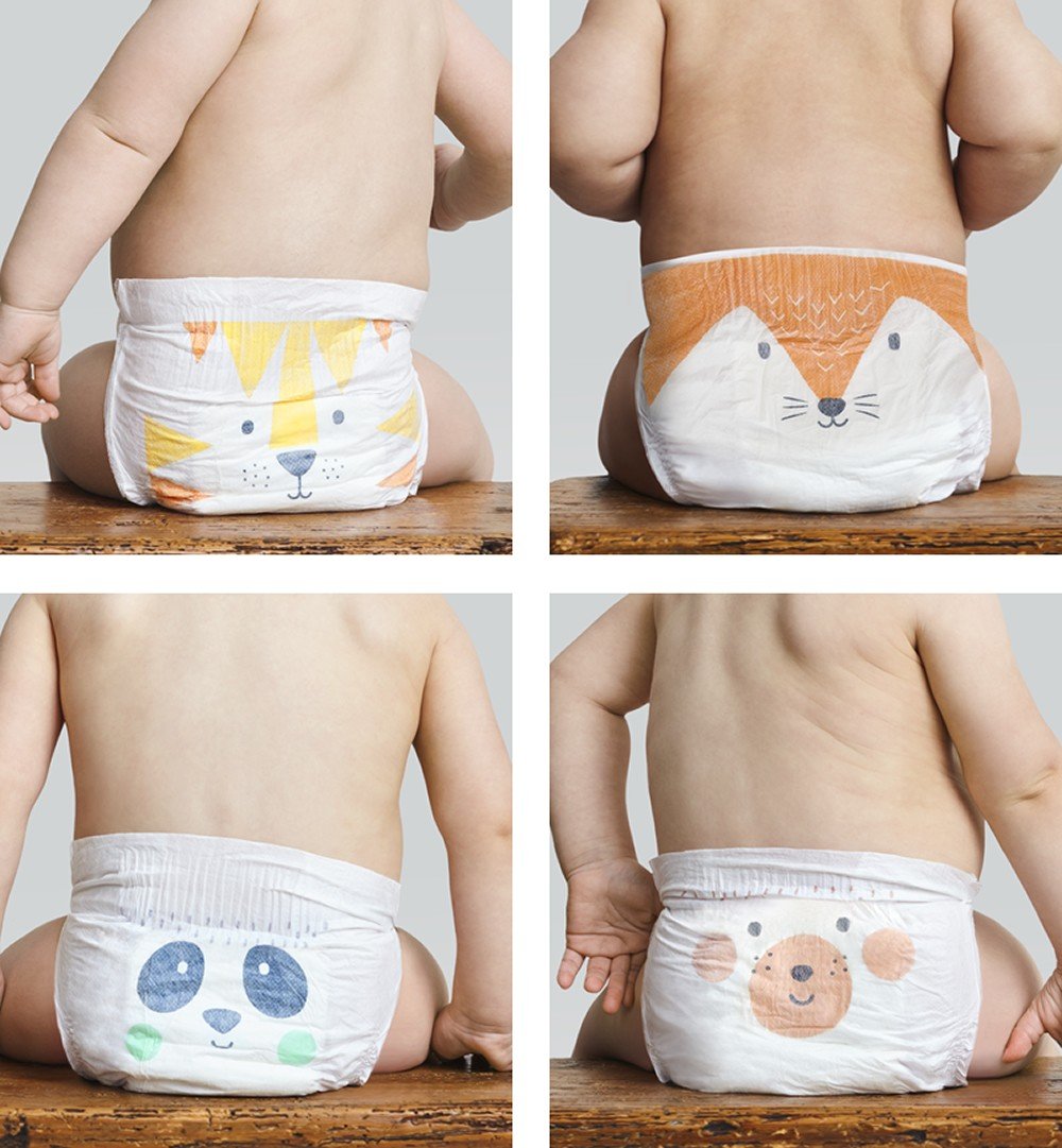 pampers okazjum