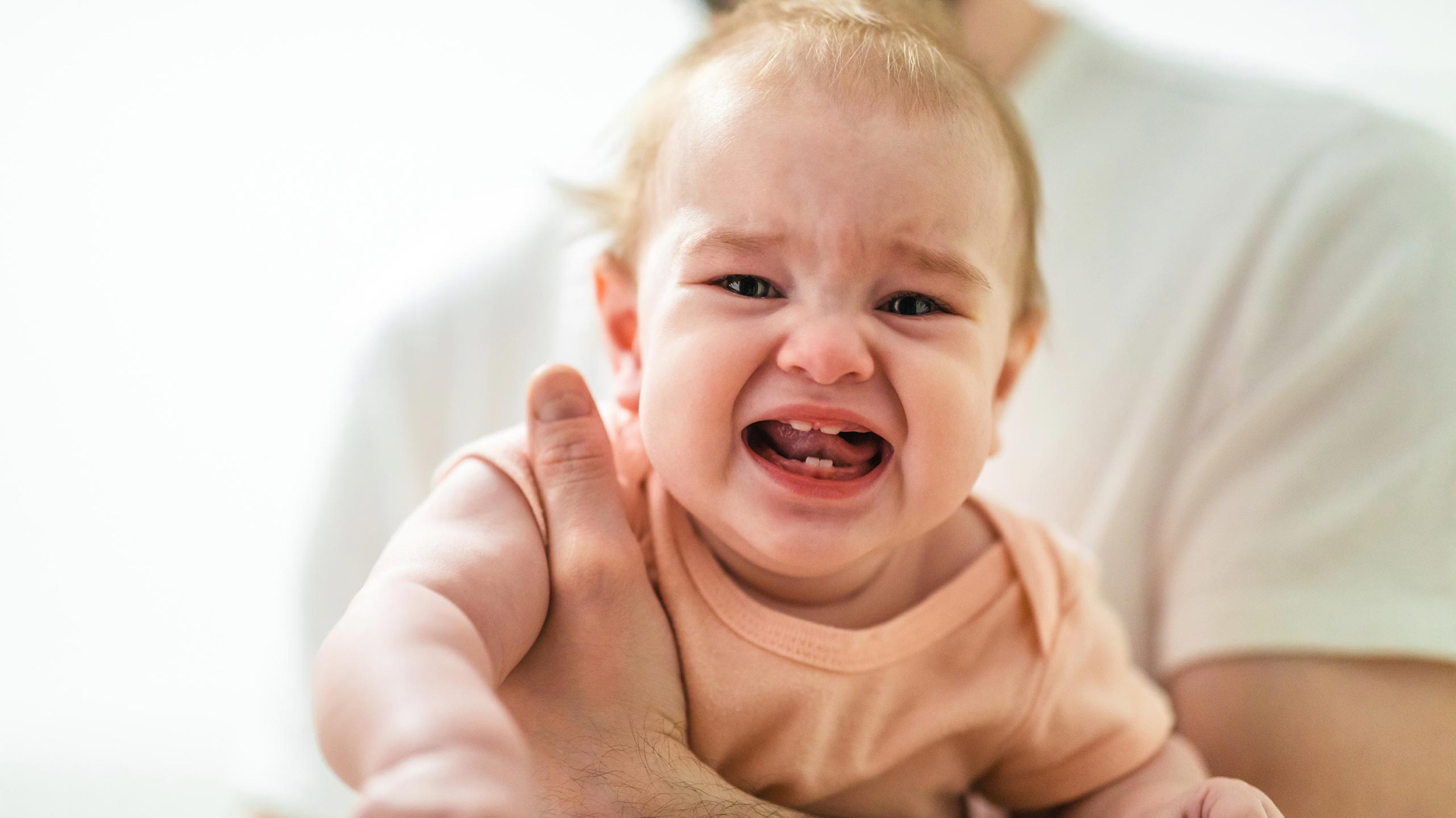 pampers zielone a pomarańczowe