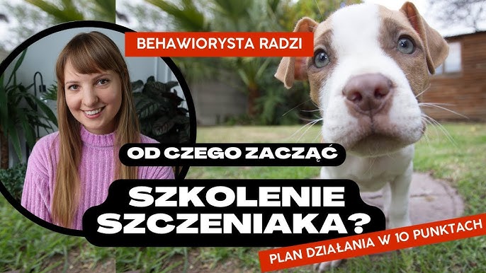 gdzie kupić pieluchomajtki dla dorosłych